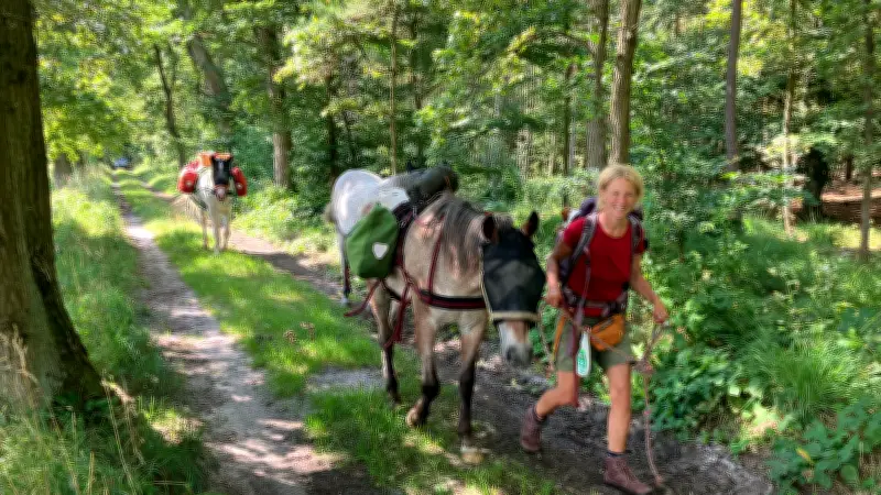 Wanderung mit drei Pferden: Elke Pohlmann erreicht Redefin