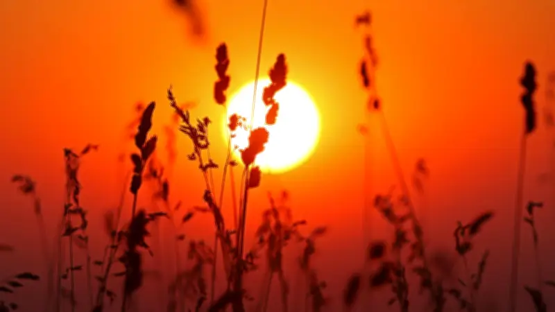 Wetter im Norden: Bis 33 Grad, abends Schauer und Gewitter