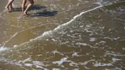 Blaualgen in Warnemünde: Gesundheitsamt rät vom Baden ab