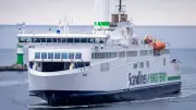 Bundespolizei stoppt Polen mit Waffensammlung nach Fährfahrt nach Rostock