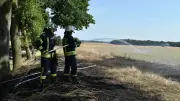 Ödlandbrand zwischen L39 und Alt Kätwin: Feuerwehr verhindert Ausbreitung