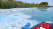 Entwarnung am Kummerower See: Lage kann sich schnell ändern