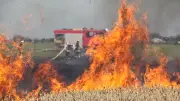 Feldbrand bei Wüstenfelde: Funkenflug löst Großaufgebot aus