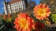Güstrow zieht immer mehr internationale Gäste an