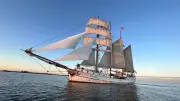 Hanse Sail 2026: Livestream zur großen Ausfahrt der Traditionsschiffe