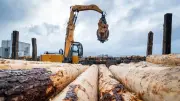 Holzmarkt in MV: Waldbesitzer und Betriebe im Gespräch