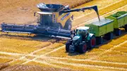 Landwirte in MV: Durchschnittsernte, aber Sorge um Fördermittel
