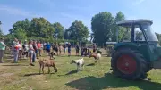 Lebenshof Wietstock: Ziege Flocke entging Löwenfütterung