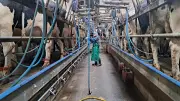 Mehr Lehrstellen als Bewerber im Kreis Vorpommern-Rügen