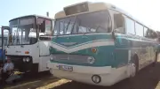 Oldtimer-Treffen in Jürgenstorf: Kultige Ost-Busse begeistern trotz Straßensperrung