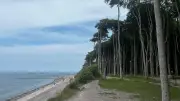 Ostsee-Strände in MV: Diese Küsten sind die schönsten