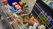 Polen-Einkauf: Sparsame Familie kassiert Strafzettel in Stettin