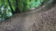 Streit um Waldweg: Anwohner fühlen sich von der Stadt übergangen