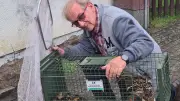Tierschutzverein Neubrandenburg vor dem Aus: „Lage ist dramatisch“