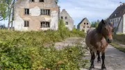 Verbotene Stadt an der Ostsee: DDR-Sperrgebiet verfällt hinter Stacheldraht