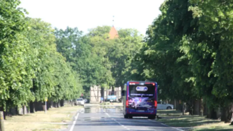 Dorfladen mit Café: Alter Stall in Leopoldshagen soll umgebaut werden