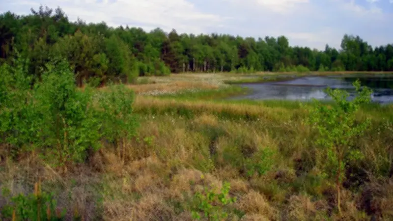Grambower Moor: Vom Torfabbau zur Renaturierung