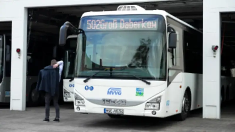Neue Direktbuslinie mv83 verbindet Neubrandenburg und Greifswald