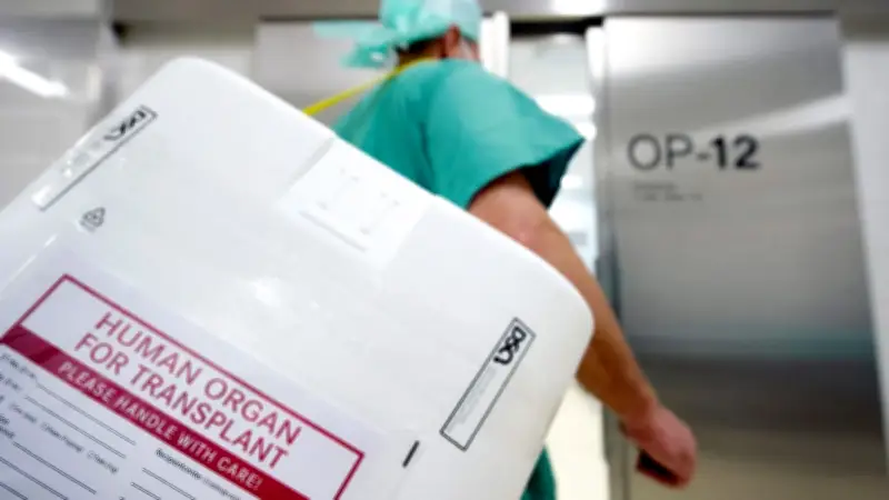 Organspende in MV: Ablauf, Hürden und die Rolle der DSO