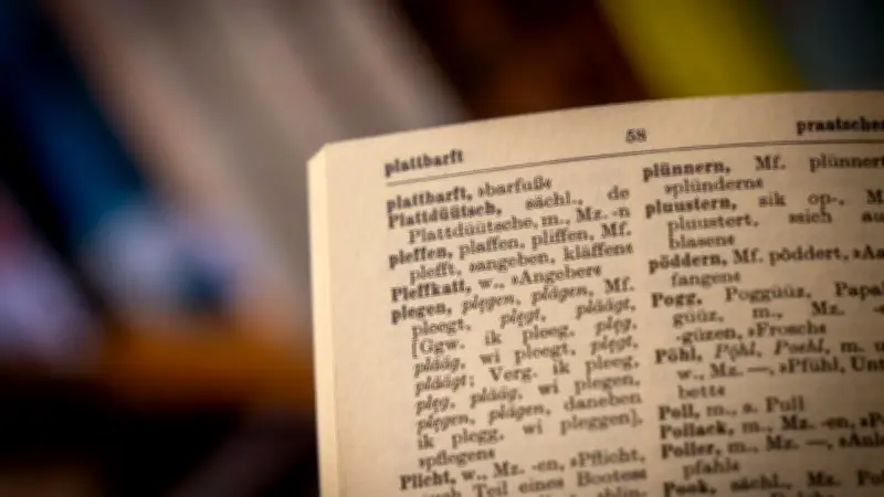 Plattdeutsch-Nachmittag in Demmin: Sprache neu entdecken