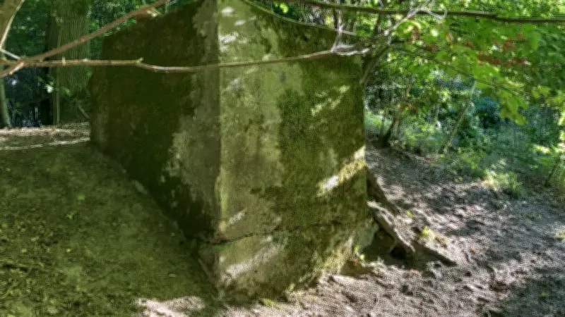 Rätselhafter Betonklotz im Wald bei Wahlendow erinnert an Steinbrecher
