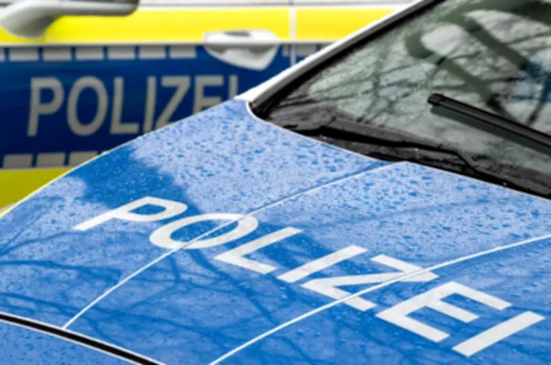 Tiefgefrorene Schweine gestohlen: Polizei sucht Zeugen