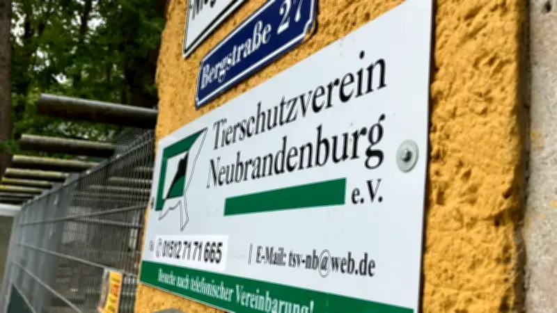 Tierschutzverein Neubrandenburg: Kadow bleibt Vorsitzender nach Machtkampf