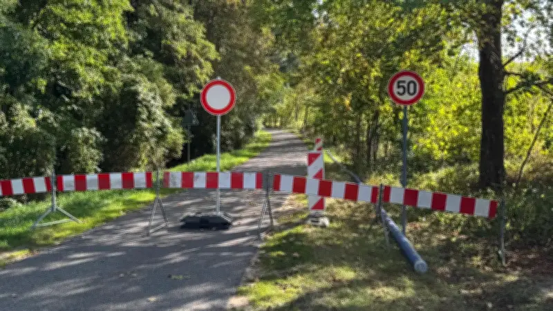 Tollensesee: Straße bei Penzlin wegen umsturzgefährdeter Bäume gesperrt