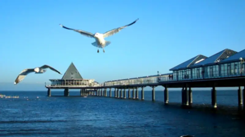 Usedom-Urlauber meidet Regionen mit starkem AfD-Wähleranteil