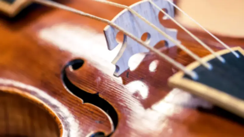 Vater-Tochter-Konzert in Burg Stargard: Jan und Marileen Diller spielen am 5. September