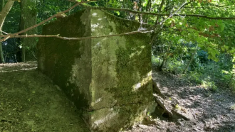 Vergessenes Industrie-Erbe: Rätselhafter Betonklotz im Wald bei Anklam
