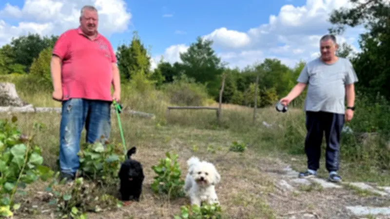 Verwilderter Hundeplatz in Neustrelitz: Halter sind sauer
