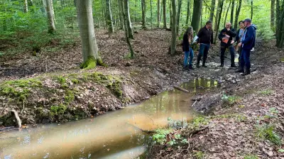 100.000 Euro für Naturschutzprojekt im Carlower Holz