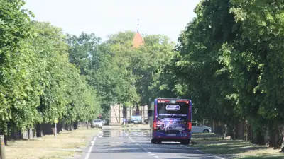 Dorfladen mit Café: Alter Stall in Leopoldshagen soll umgebaut werden
