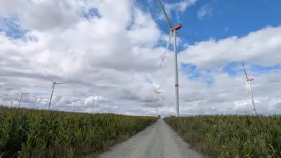 Windpark Jördenstorf: Sieben Anlagen gehen Ende September in Betrieb