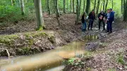 100.000 Euro für Naturschutzprojekt im Carlower Holz