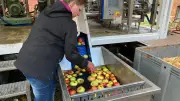18. Apfeltag in Hagenow: Kirchengemeinde feiert Erntedankfest