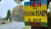 Bio-Stall für 12.000 Hühner in Silz: Anwohner wehren sich