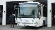 Neue Direktbuslinie mv83 verbindet Neubrandenburg und Greifswald