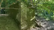 Vergessenes Industrie-Erbe: Rätselhafter Betonklotz im Wald bei Anklam