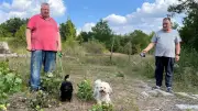 Verwilderter Hundeplatz in Neustrelitz: Halter sind sauer
