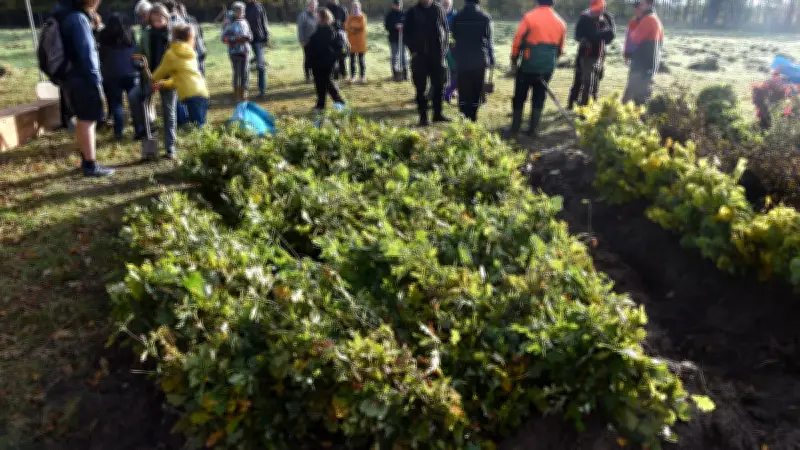 5000 neue Bäume: Rostocker Familien pflanzen im Küstenwald