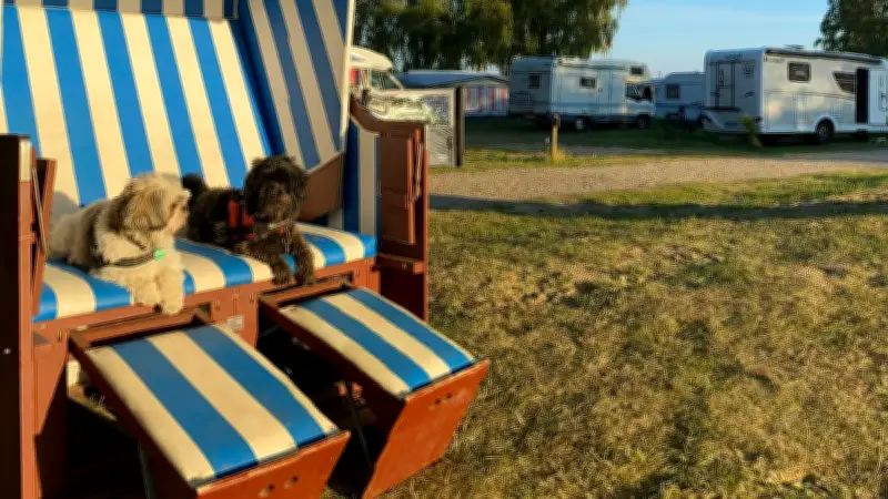 Camping mit Hund in MV: Diese Plätze schaffen es in die Top 25