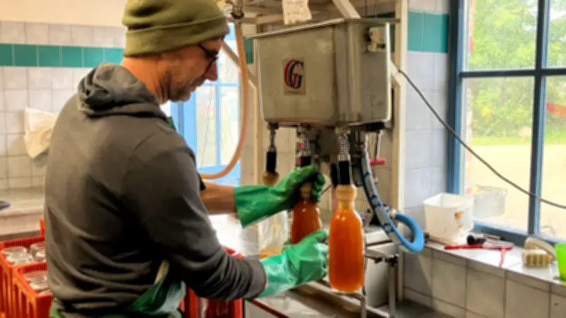 Dorf-Mosterei Gatschow: Äpfel, Birnen und Saft in der Saison