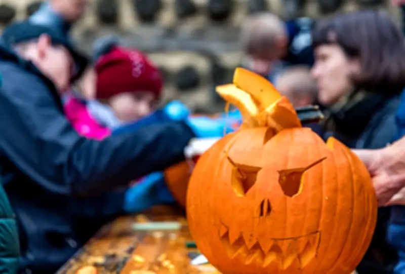 Herbstferien in MV: Von Spukhaus bis Drachenfest – die besten Tipps