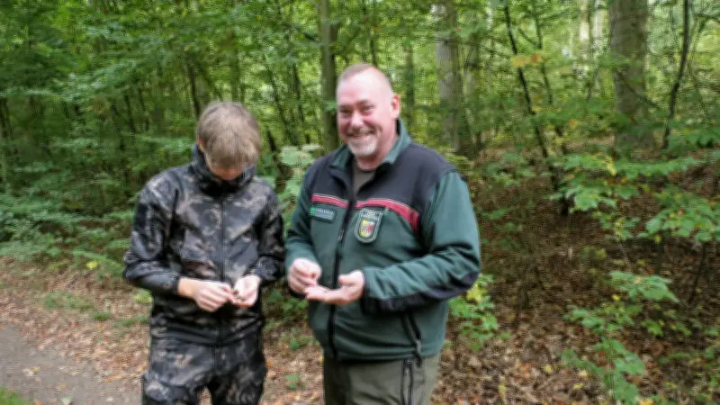 Mastjahr der Buchen: Überangebot an Bucheckern im Glienholz