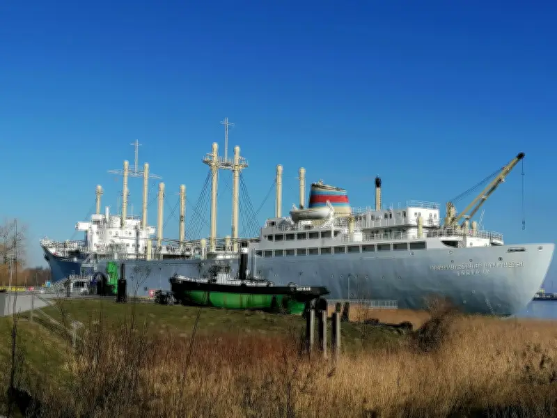 Neue Ausstellung über Wale im Rostocker Schifffahrtsmuseum