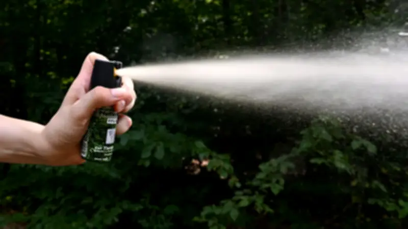 Pfefferspray für Ordnungsdienst: Teterow plant Schulung