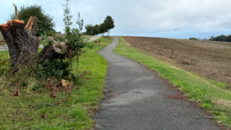 Röbel will maroden Radweg Richtung Gotthun erneuern