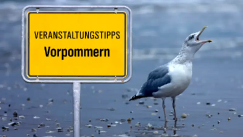 Vorpommern: Naturfilme, Musik im Dom und Drachenfestival am Sonntag